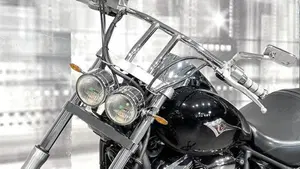 Kawasaki Vulcan VN 900 Custom (2006 - 09)  (3)