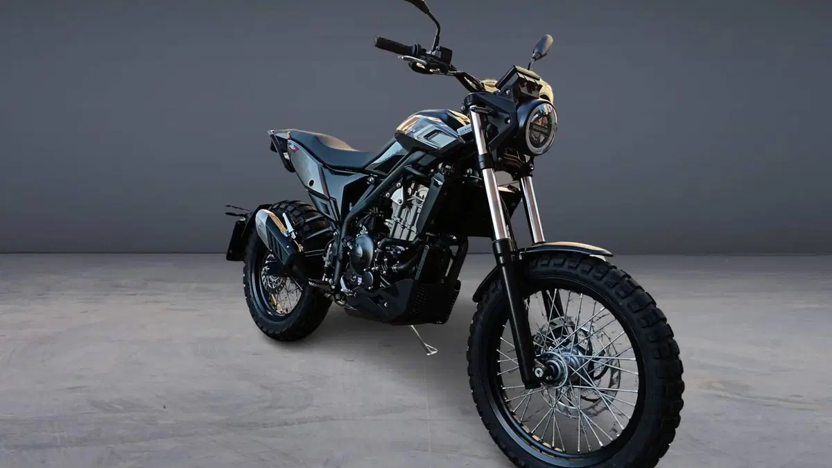 Betamotor Alp X (2024 - 26)  (2)