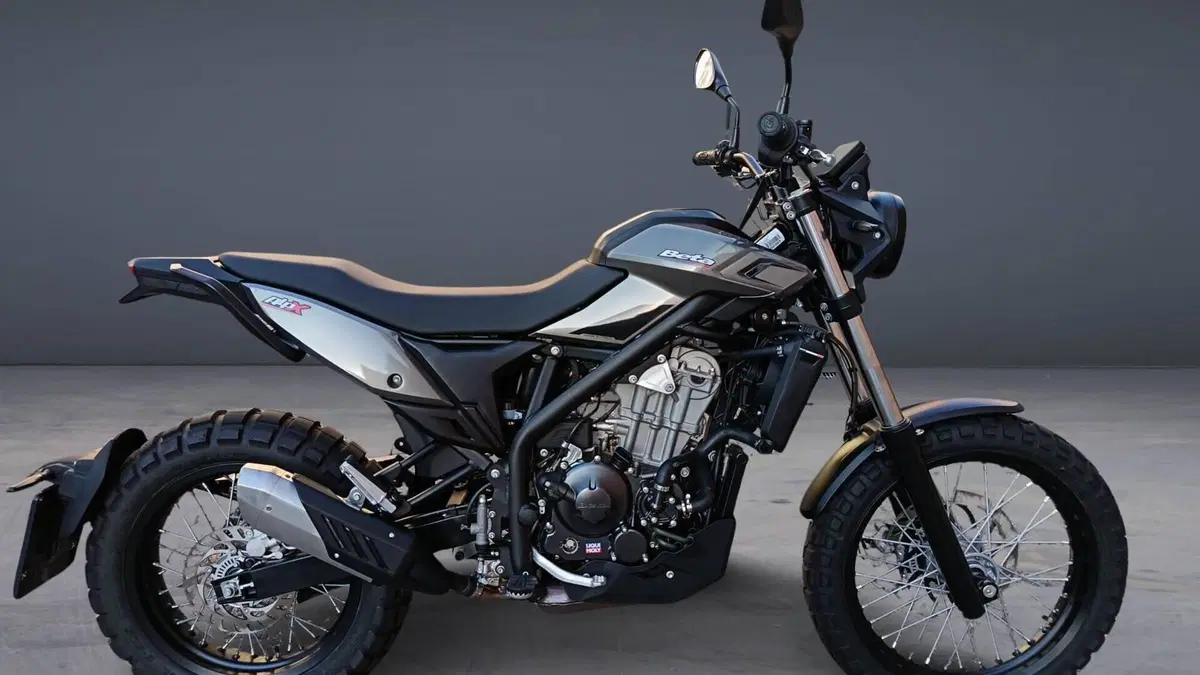 Betamotor Alp X (2024 - 26)  (4)
