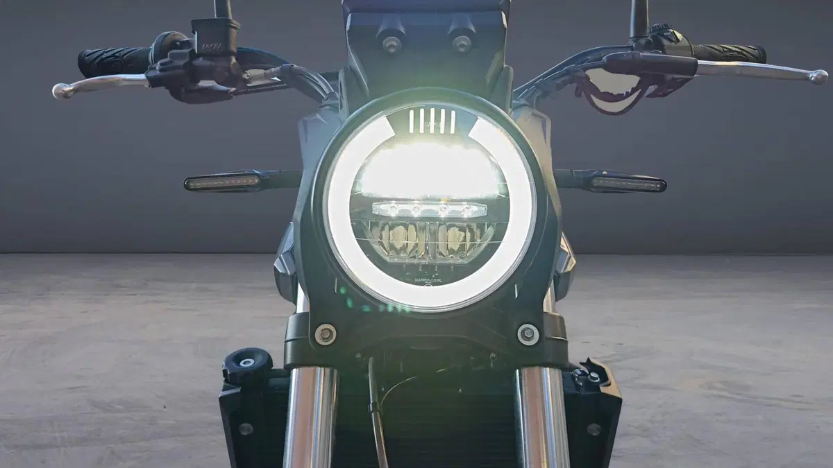 Betamotor Alp X (2024 - 26)  (5)