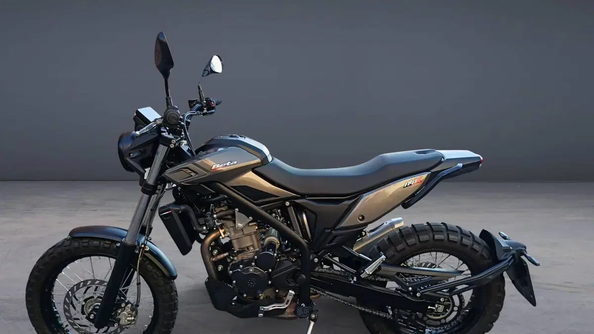 Betamotor Alp X (2024 - 26)  (14)