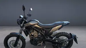 Betamotor Alp X (2024 - 26)  (14)