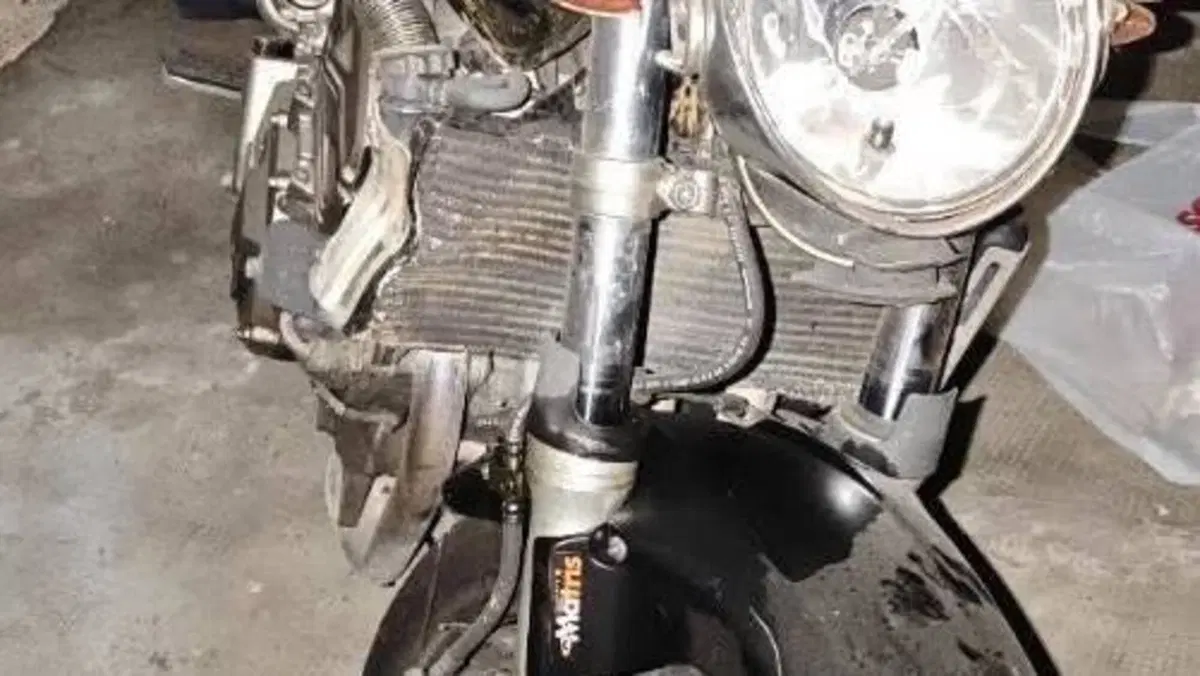 Honda Hornet 600 (2000 - 02)  (2)