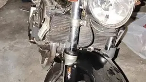 Honda Hornet 600 (2000 - 02)  (2)