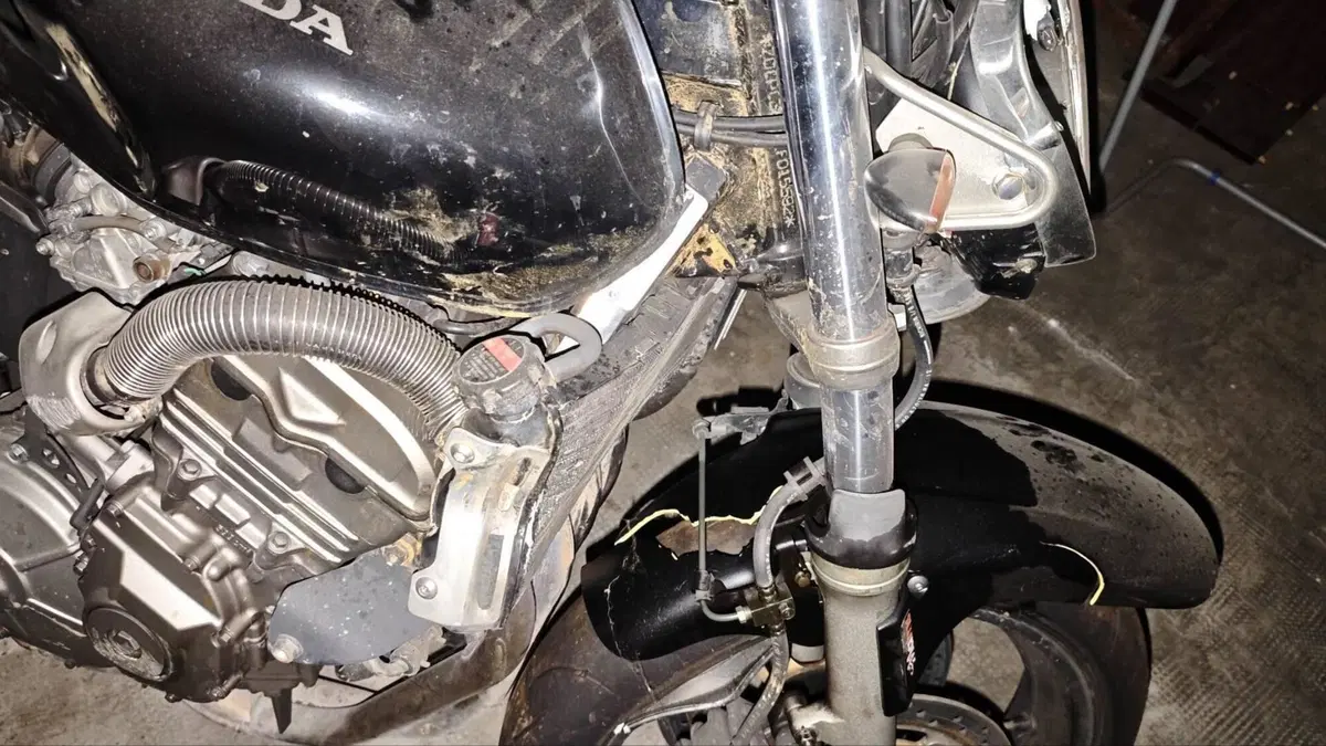 Honda Hornet 600 (2000 - 02)  (4)