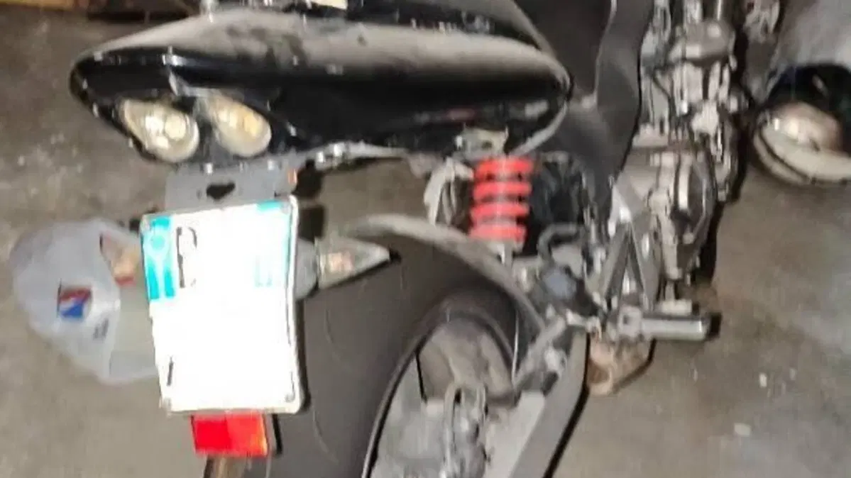 Honda Hornet 600 (2000 - 02)  (5)