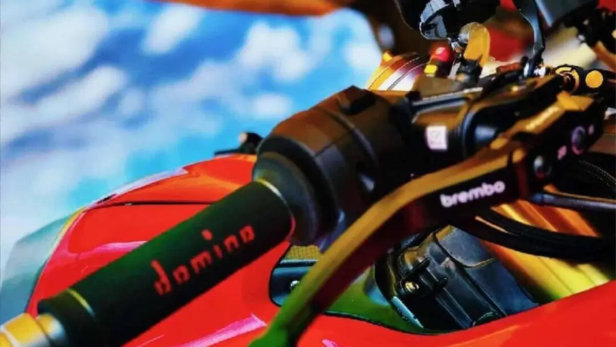 Ducati Panigale V4 R (2023 - 24)  (8)
