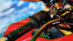 Ducati Panigale V4 R (2023 - 24)  (8)