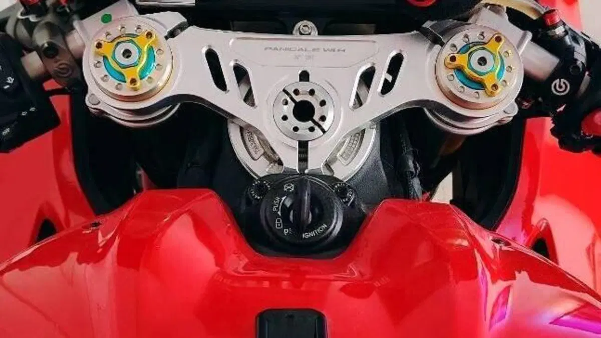 Ducati Panigale V4 R (2023 - 24)  (9)