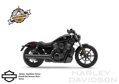 Harley-Davidson Nightster (2023 - 26) - Annuncio 10101159