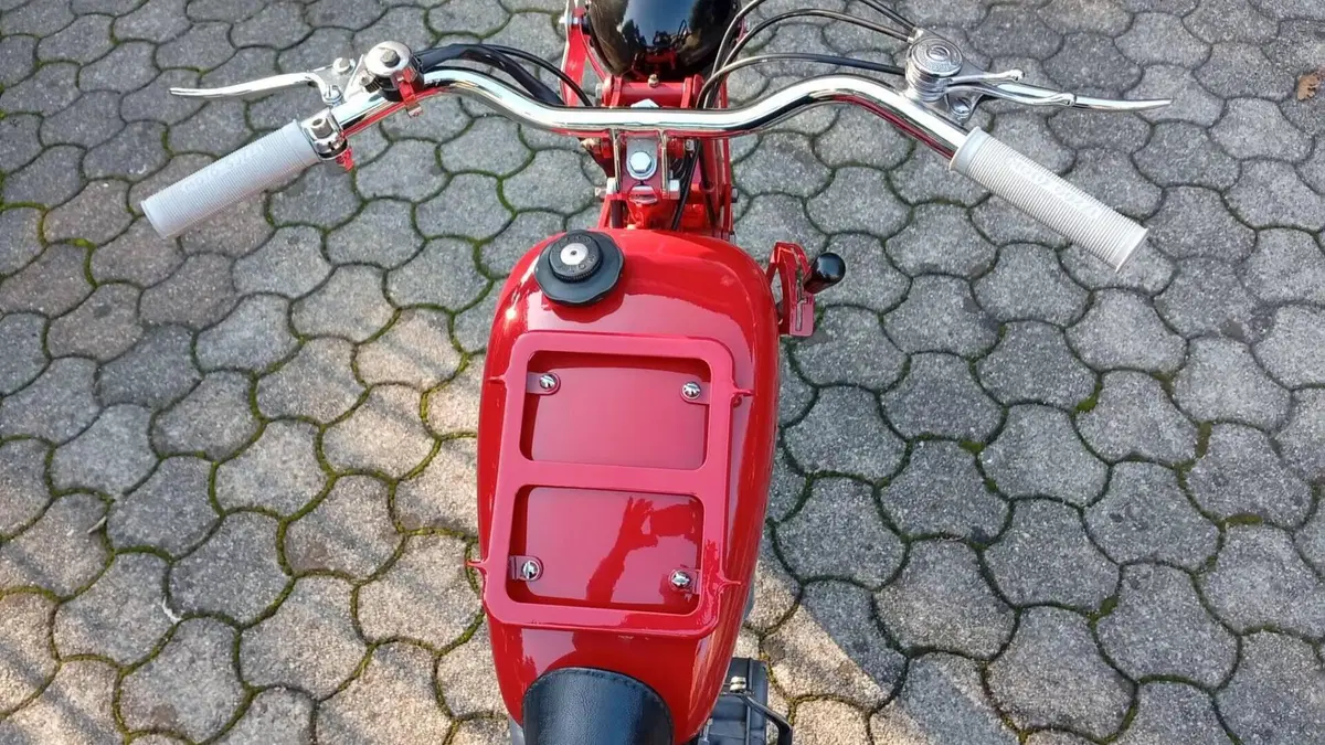 Moto Guzzi   (10)