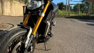 Yamaha MT-09 Street Rally (2014 - 16)  (4)