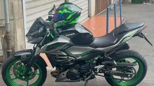 Kawasaki Z 500 SE (2024 - 26) 