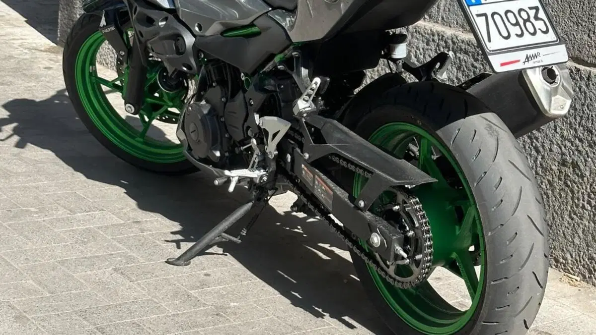 Kawasaki Z 500 SE (2024 - 26)  (2)