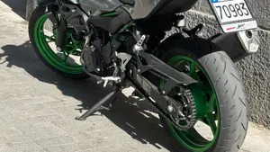 Kawasaki Z 500 SE (2024 - 26)  (2)