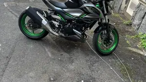Kawasaki Z 500 SE (2024 - 26)  (5)