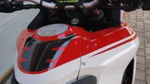 Ducati Multistrada 1200 ABS (2013 - 14)  (8)