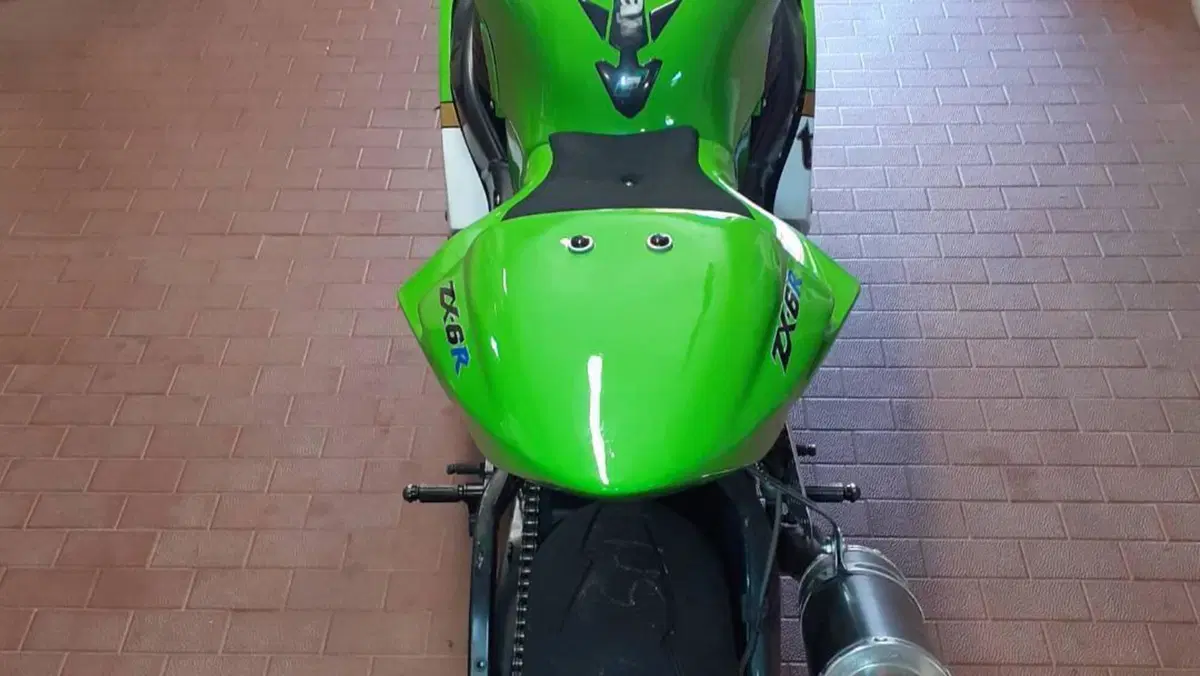 Kawasaki Ninja 636 ZX-6R (2005 - 06)  (10)