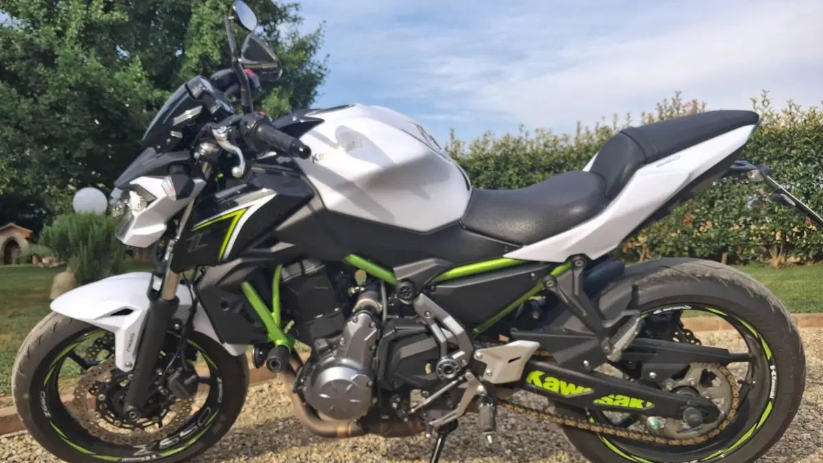 Kawasaki Z 650 (2017 - 19)  (2)