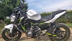 Kawasaki Z 650 (2017 - 19)  (2)