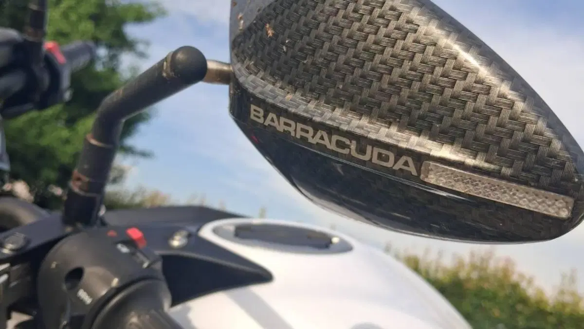 Kawasaki Z 650 (2017 - 19)  (4)