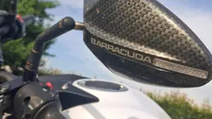 Kawasaki Z 650 (2017 - 19)  (4)