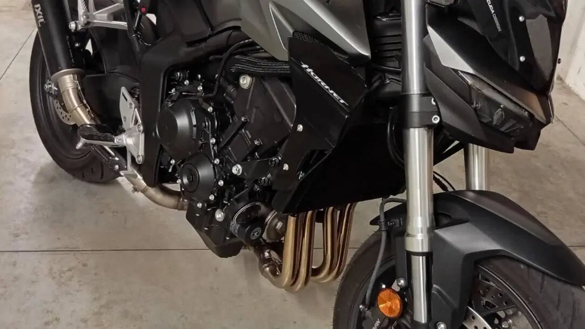 Honda CB 1000 Hornet (2025 - 26)  (3)
