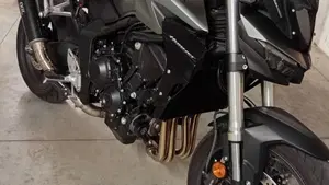 Honda CB 1000 Hornet (2025 - 26)  (3)