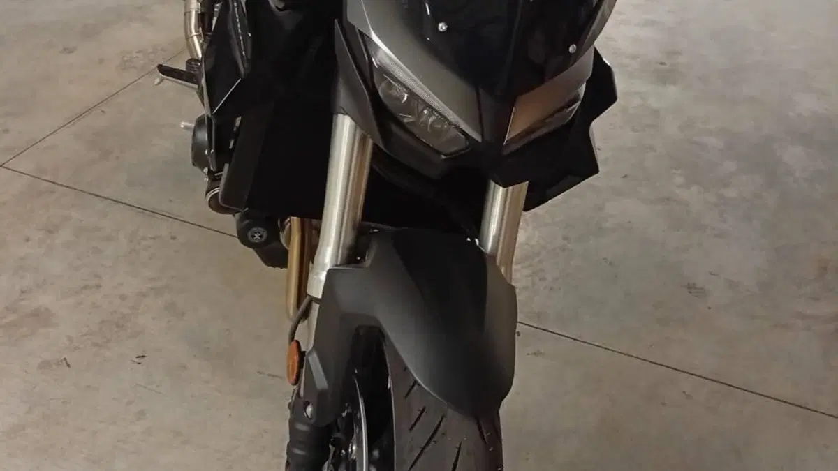 Honda CB 1000 Hornet (2025 - 26)  (4)