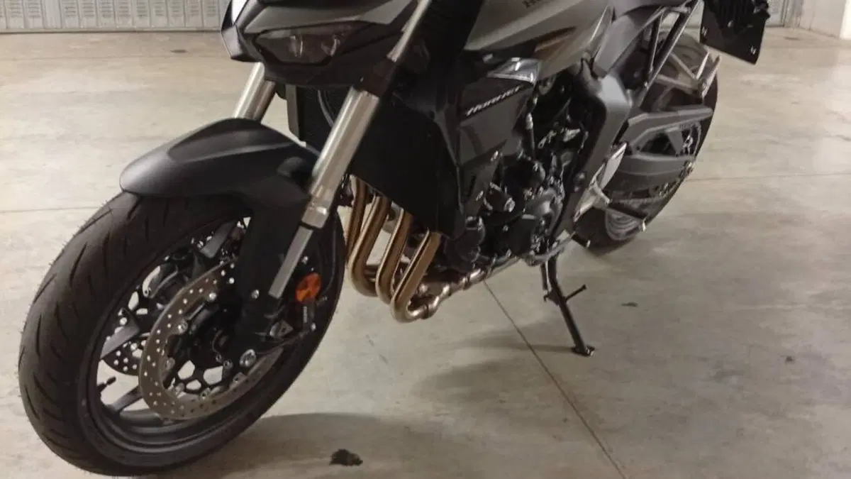 Honda CB 1000 Hornet (2025 - 26)  (5)