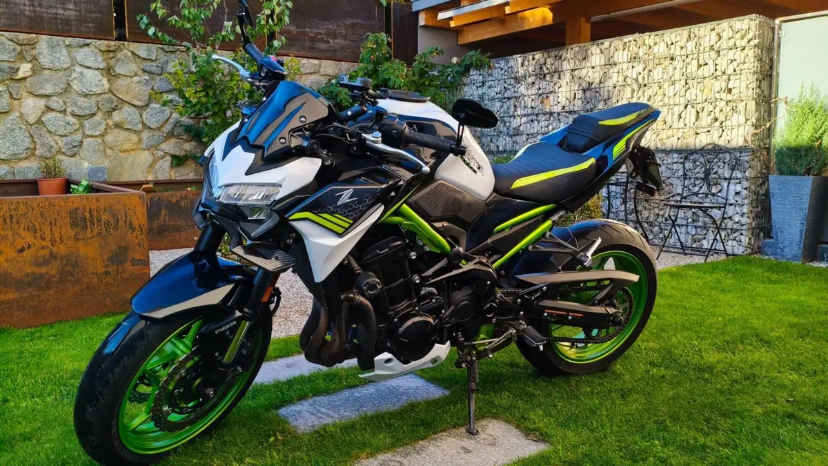 Kawasaki Z 900 (2021 - 24)  (3)