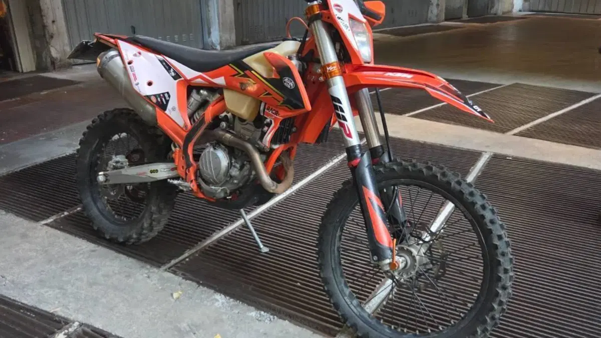 KTM 250 EXC-F Six Days (2020)  (4)