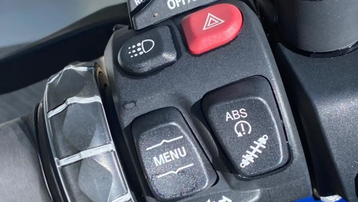 Bmw R 1250 GS Adventure (2019 - 20)  (8)