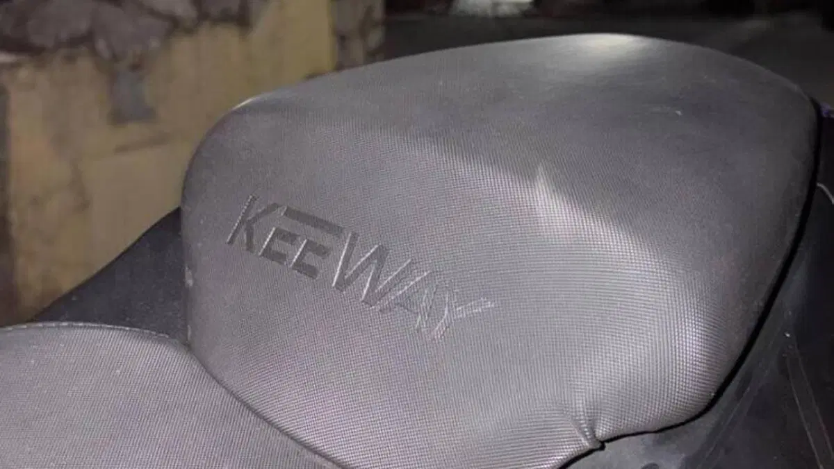 Keeway Motor RKF 125 (2021 - 24)  (15)
