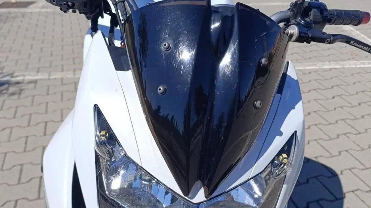 Kawasaki Z 1000 (2007 - 09)  (2)
