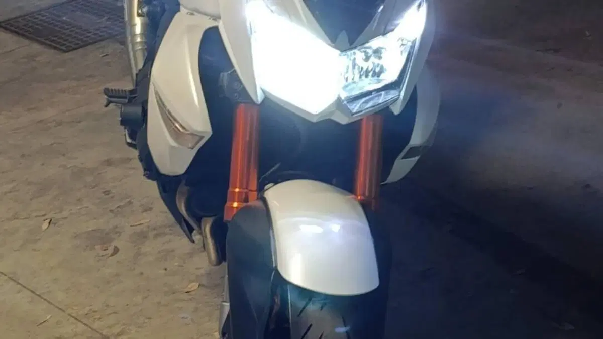 Kawasaki Z 1000 (2007 - 09)  (11)