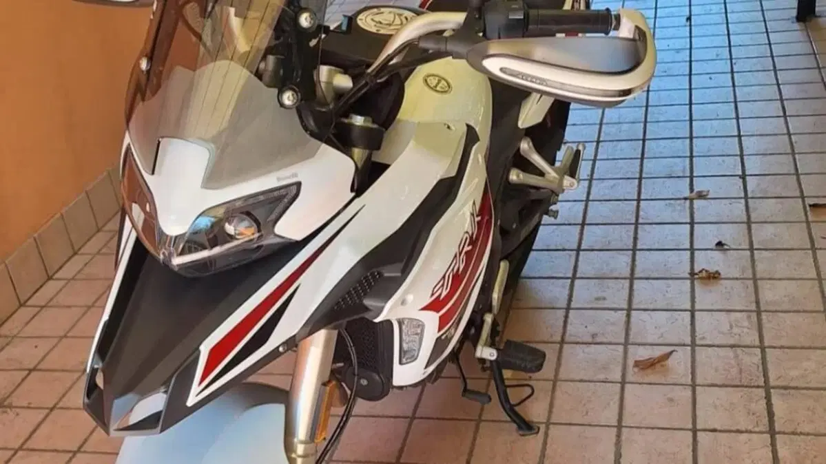 Benelli TRK 251 (2022 - 25)  (3)