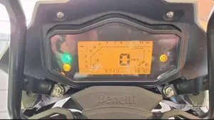 Benelli TRK 251 (2022 - 25)  (5)