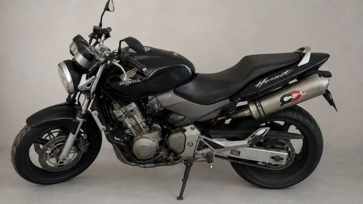 Honda Hornet 600 (2003 - 04) 