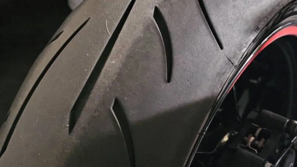 Aprilia RS 660 (2020 - 24)  (5)
