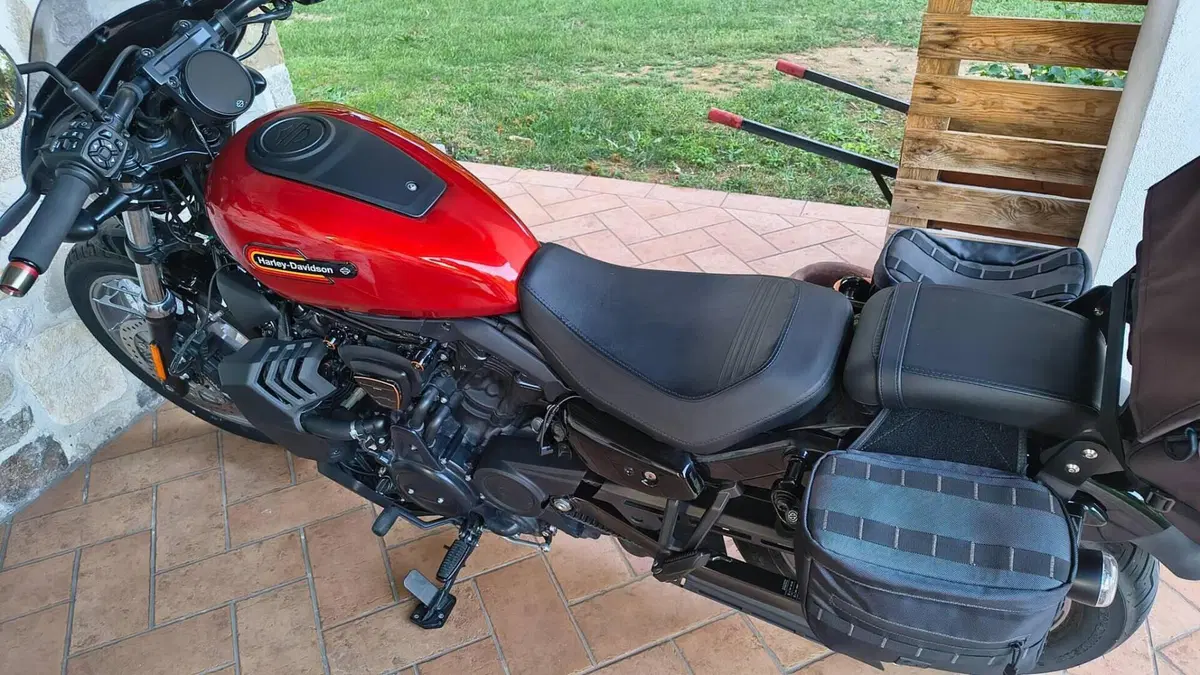 Harley-Davidson Nightster Special (2023 - 26)  (5)