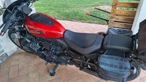 Harley-Davidson Nightster Special (2023 - 26)  (5)