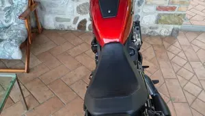 Harley-Davidson Nightster Special (2023 - 26)  (7)