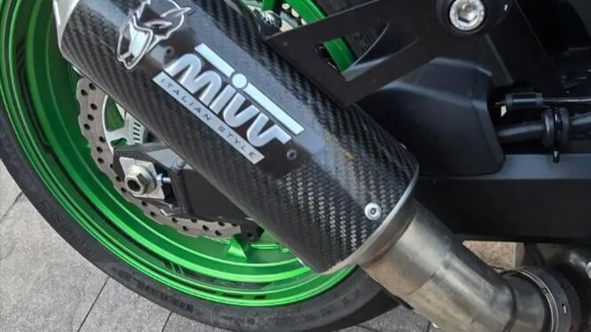 Kawasaki Z 900 (2021 - 24)  (6)