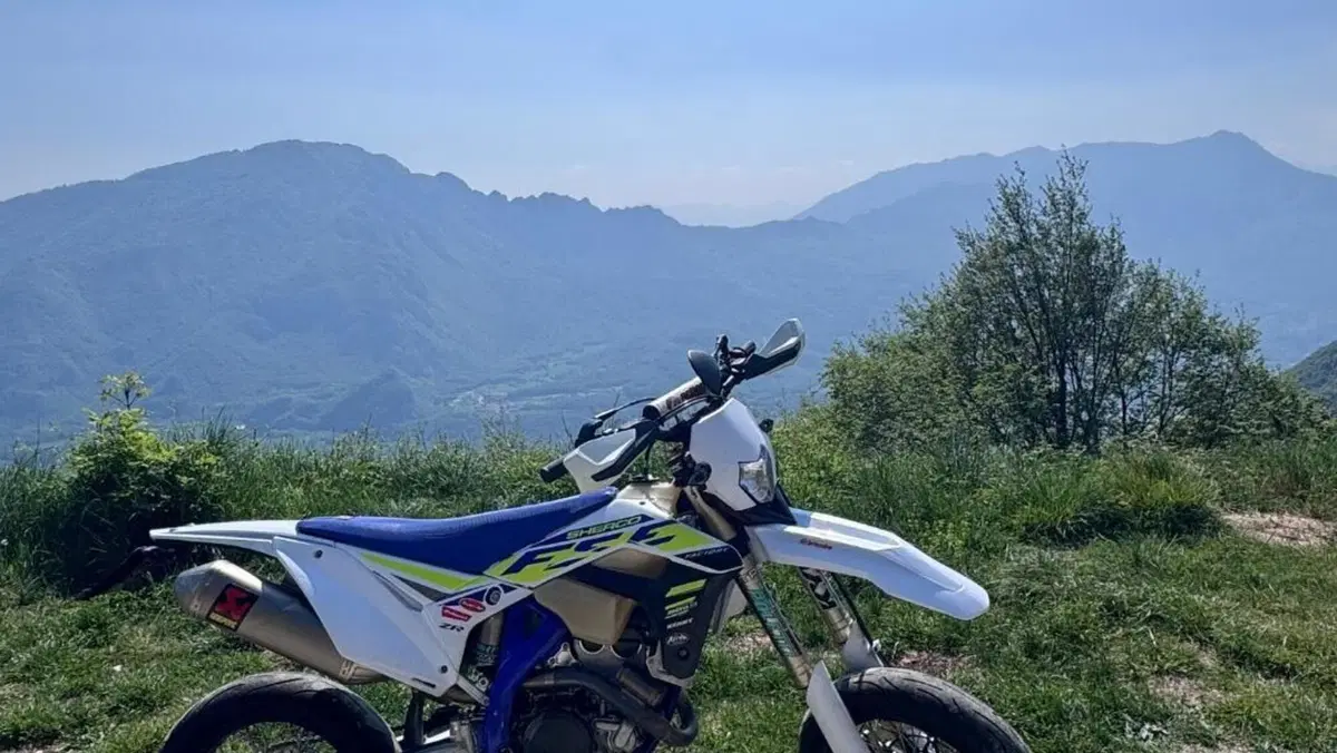 Sherco 300 SEF Factory (2020)  (8)