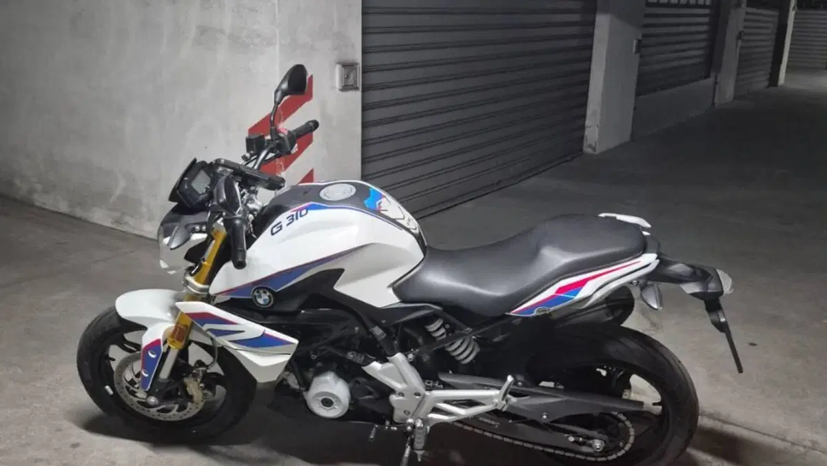 Bmw G 310 R (2016 - 20)  (6)