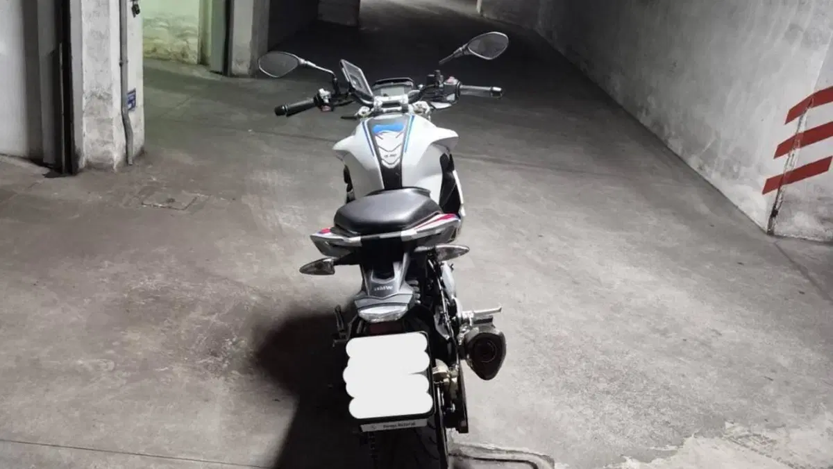 Bmw G 310 R (2016 - 20)  (4)
