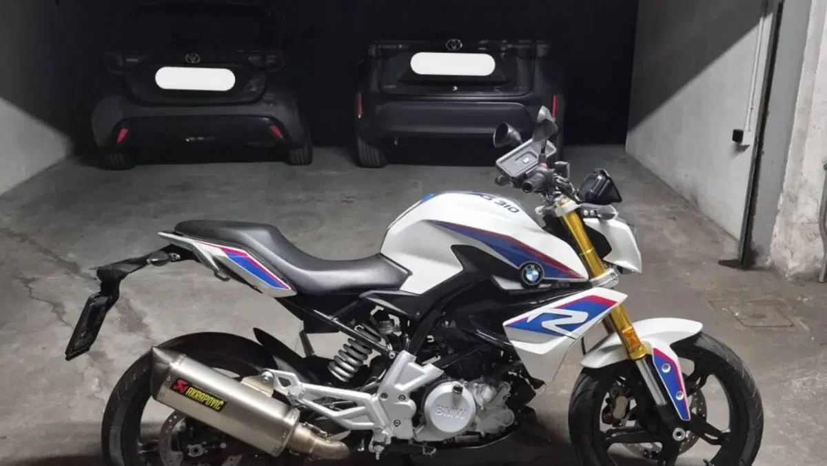 Bmw G 310 R (2016 - 20)  (2)