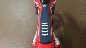 Honda CRF 300RX Enduro Special (2023)  (6)