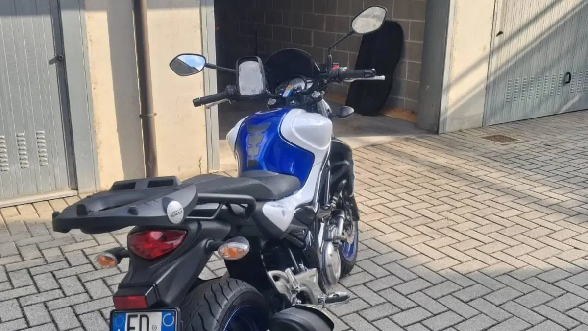 Suzuki Gladius 650 SFV (2009 - 15)  (13)
